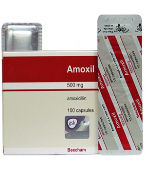 Brand Amoxil 500mg 1