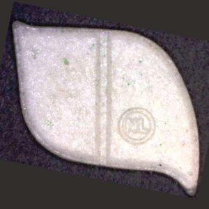White Dolphin XTC X10 1